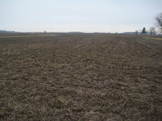 Property photo 8 - 414.5 +/- Acres Offered in 6 Tracts - Prime Indiana Farmland